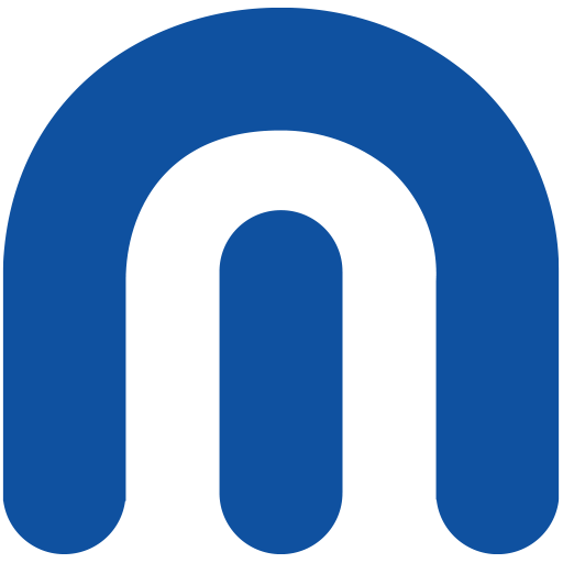 netacmion logo